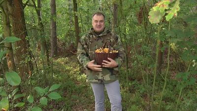 Grzybiarze mogą roznosić ASF? Sprawdź jak bezpiecznie zbierać grzyby