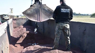 Hrubieszów: Koparka pomogła w ujawnieniu przemytu papierosów