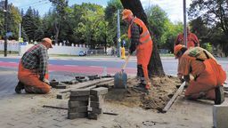 Lublin: Znikają płyty chodnikowe wokół drzew