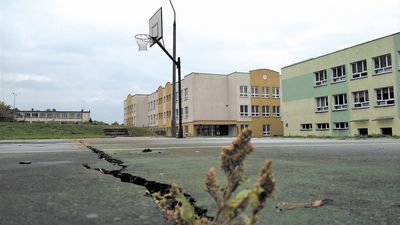 Ze szczeliny w nawierzchni wyrastają chwasty