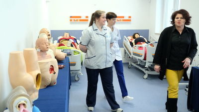 Potną człowieka na tablecie. Wirtualny stół anatomiczny