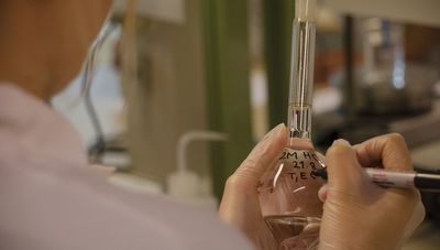 Czy Lublin zacznie dopłacać do in vitro? Radni zajmą się petycją