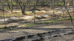 Dzięki przeprojektowaniu układu alejek na terenie odnawianego parku Ludowego ocaleją drzewa
