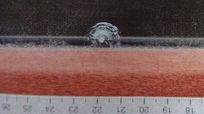 Chcieli z bratem "postrzelać do siebie". Jeden z nich zaczął trafiać w okna