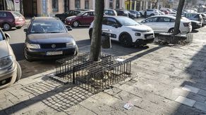 Pod kratą, która jest też siedziskiem, będą rosnąć rośliny. – Jeszcze uzgadniamy gatunki, które mają szansę tam funkcjonować – tłumaczą architekci