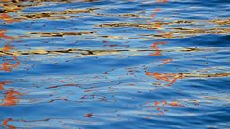 Zdjęcie ilustracyjne