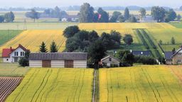 "W lubelskim oddziale wnioski nie leżą latami". ARiMR ogłasza nowe programy i ostrzega przed oszustami