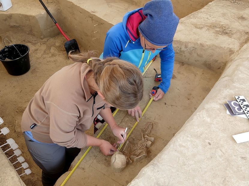 Wykopaliska zakończyły się dopiero kilka dni temu. Teraz archeolodzy oczekują na wyniki szczegółowych analiz antropologicznych, które mogą rzucić światło na przyczynę śmierci dzieci<br />
