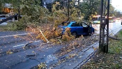 Lublin: Straty po wichurze. Uszkodzone samochody i trakcja trolejbusowa