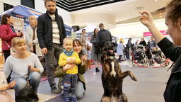 ZwierzoLublin. Miłośnicy zwierząt spotkali się w Galerii Olimp [zdjęcia]