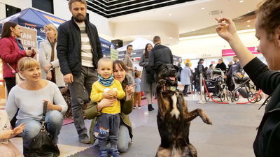 ZwierzoLublin. Miłośnicy zwierząt spotkali się w Galerii Olimp [zdjęcia]