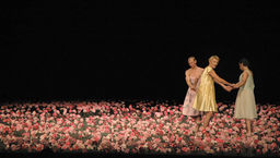 "Goździki" jedna z bardziej znanych choreografii Piny Bausch
