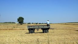 Za rażące naruszenie prawa sąd wymierzył staroście 2000 zł grzywny, kolejny tysiąc starosta ma wypłacić rolnikowi, jak również zwrócić mu koszty postępowania