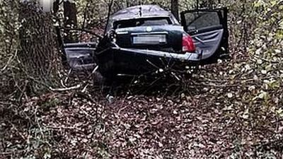 Volkswagen przejechał przez rów i wjechał do lasu. Kierująca nie mogła sama wyjść z auta