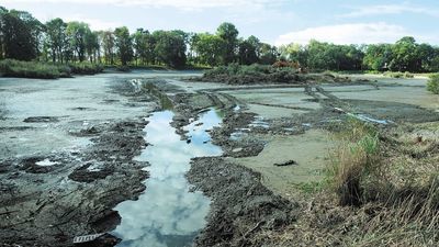 Remont parku rozpoczął się od stawu. Wykonawca czeka na mróz aby wywieźć wyspę