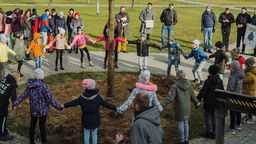 W Łęcznej posadzili 8,5 metrową lipę. Jedno takie drzewo oczyszcza powietrze jak 500 małych sadzonek