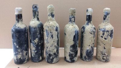 Niecodzienne odkrycie w Kozłówce. Wino sprzed 100 lat [zdjęcia]