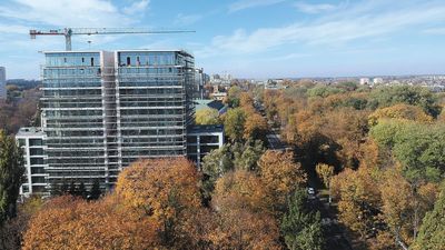 O drzewa w mieście trzeba po prostu dbać. Należy im stworzyć takie warunki, by mogły rozwinąć odpowiedni system korzeniowy