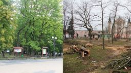 Skwer kilka miesięcy temu i dzisiaj