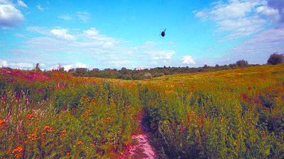Miał być gotowy we wrześniu, ale ciągle go nie ma. Kiedy zobaczymy raport odnośnie górek czechowskich?