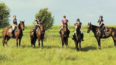 Akademicki Klub Jeździecki zorganizuje zimowy kurs jazdy konnej. Ale problem zostaje
