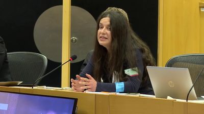 "To nie kryzys, to katastrofa”. Dyrektor ZOO w Poznaniu pokazała w Brukseli film o fatalnym traktowaniu tygrysów