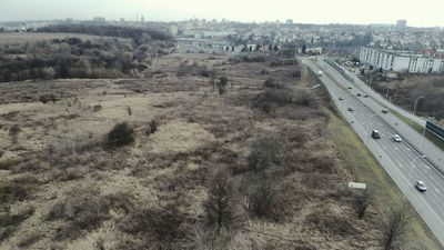 Do Urzędu Miasta wpłynęły trzy wnioski o pozwolenie na wycinkę: 119 drzew w rejonie ul. Poligonowej i Ducha oraz 79 i 22 rosnących w pobliżu ul. Poligonowej