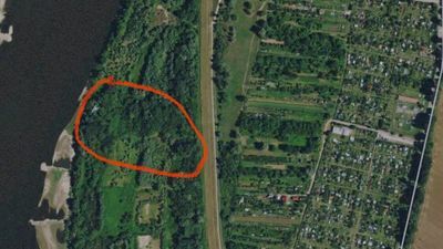 Polowanie odbywało się nad Wisłą, w miejscu gdzie często spacerują mieszkańcy Puław 