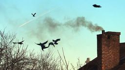 Czy w Radzyniu Podlaskim jest smog. Dowiesz się na spotkaniu 