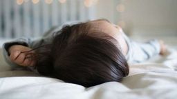 Materiał ilustracyjny