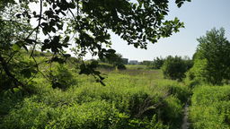 Czy blokowiska mieściły się w „akceptowalnych z punktu widzenia przyrodniczego” sposobach wykorzystania górek czechowskich? Odpowiedź powinna się znajdować w zamówionym przez Ratusz raporcie, ale urzędnicy wciąż go nie upublicznili, chociaż zgodnie z umową dokument miał być gotowy w połowie września

