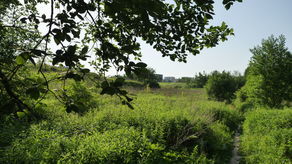 Czy blokowiska mieściły się w „akceptowalnych z punktu widzenia przyrodniczego” sposobach wykorzystania górek czechowskich? Odpowiedź powinna się znajdować w zamówionym przez Ratusz raporcie, ale urzędnicy wciąż go nie upublicznili, chociaż zgodnie z umową dokument miał być gotowy w połowie września

