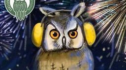 Zamość: Sowa uszata prosi, by nie strzelać w sylwestrową noc