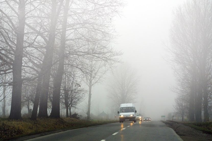 Instytut Meteorologii i Gospodarki Wodnej ostrzega przed gęstymi mgłami w woj. lubelskim