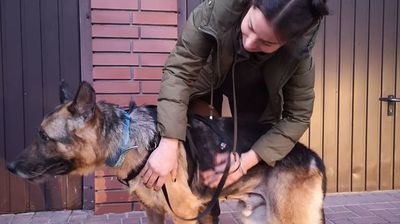 Reks z nową właścicielką. Polubili się