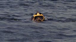 Materiał ilustracyjny