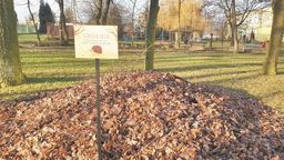 W Świdniku urządzono strefy zimowania jeży