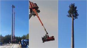 Play postawił nadajnik w sąsiedztwie Roztoczańskiego Parku Narodowego. Wygląda jak wielkie drzewo