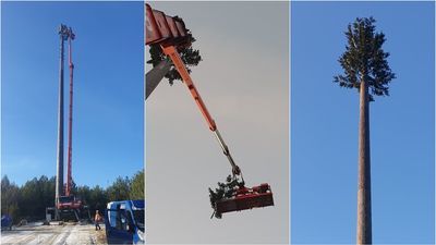 Play postawił nadajnik w sąsiedztwie Roztoczańskiego Parku Narodowego. Wygląda jak wielkie drzewo