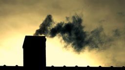 Kopciuch badany laboratoryjnie: Strażnicy biorą próbki popiołu