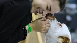 Wystawa psów rasowych w Lublinie [zdjęcia]