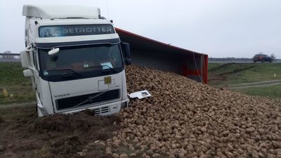Krasnystaw: Jechał zbyt szybko. Ponad 20 ton buraków wylądowało w rowie