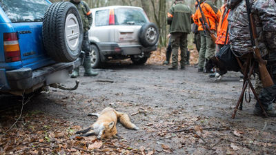 Nie chcą myśliwych na swoich działkach. 30 wniosków w woj. lubelskim