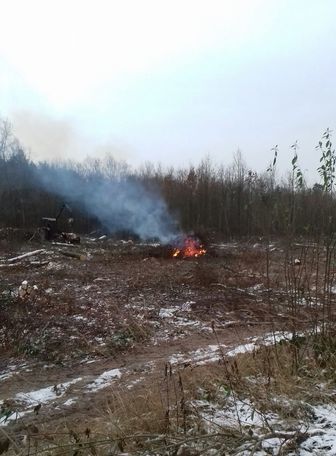 Nie ma innego sposobu walki z kornikiem, jak natychmiastowe usunięcie zainfekowanych drzew, a następnie spalenie lub rozdrobienie pozostałości – podkreśla zastępca dyrektora Regionalnej Dyrekcji Lasów Państwowych w Lublinie