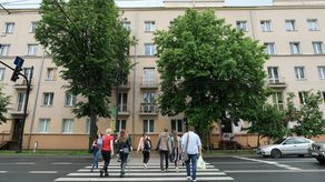 Ul. Lipowa. Tu urząd miasta zamierza usunąć 30 z 69 drzew. Te na zdjęciu przeszkadzają w poszerzeniu jezdni (pośrodku przejścia dla pieszych będzie wysepka)