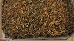 Nastolatek z marihuaną. Miał ponad 80 gramów narkotyków