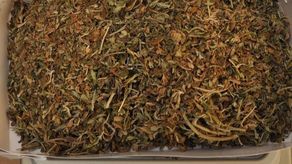 Nastolatek z marihuaną. Miał ponad 80 gramów narkotyków