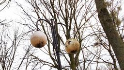 Niektóre latarnie w Chełmie są w opłakanym stanie. Oprawy są tak brudne, że nawet jak żarówka świeci, to i tak nic nie widać na chodniku czy ulicy