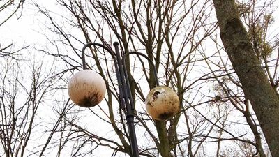 Niektóre latarnie w Chełmie są w opłakanym stanie. Oprawy są tak brudne, że nawet jak żarówka świeci, to i tak nic nie widać na chodniku czy ulicy