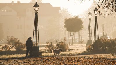 Jeśli na obrzeżach Starego Miasta biegają psy mieszkające na tym osiedlu, to ich właściciele mogą odebrać bezpłatne woreczki przy ul. Bazyliańskiej 14
